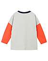 Name it Long Sleeves Shirt - Light Gray Melange - 100% Cotton Long Sleeves Tops