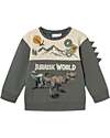 Name it Sweatshirt - Tea Leaf - Combed Cotton Sweatshirts