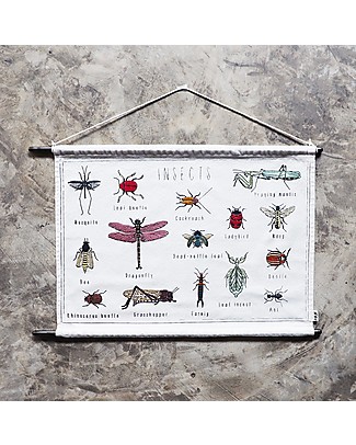 Numero 74 Embroidery Kit School Poster - Insects - 50x30 cm Art & Craft Kits
