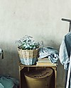 Numero 74 Small Rattan Basket, Sweet blue Storage organisers