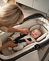 Nuna Cari Next for Stroller and Car - 0-6 Months - Caviar - Compatible with Base Next - Light Safe and Transportable Pram Systems