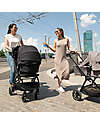 Nuna Carrycot Lytl - Caviar - Chocolate - Comfortable and Safety Pram Systems