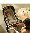 Nuna Carrycot Lytl - Thunder - Comfortable and Safety Pram Systems