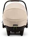 Nuna Duo Triv Next Stroller + Pipa Next i-Size Car Seat - Biscuits - Chocolate   Trio and Duo Strollers