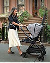 Nuna Trio Triv Ellis with Carrycoat and Pipa Next Car Seat Trio and Duo Strollers