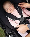 Nuna Trio Triv Ellis with Carrycoat and Pipa Next Car Seat Trio and Duo Strollers