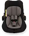Nuna Trio Triv Next Stroller + Pipa Next i-Size Car Seat  + Carrycot Lytl - Caviar  Trio and Duo Strollers