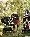 Nuna Trio Triv Riveted with Carrycoat and Pipa Next Car Seat Trio and Duo Strollers