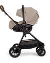 Nuna Triv Next Stroller - Cosmopolitan - Black Frame - Ideal for Traveling and the City Lights Strollers