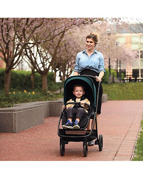 Order the Nuna Triv Next Complete Stroller online - Baby Plus