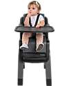 Nuna Zaaz Evolutive High Chair - Pewter - Gray/Black - Grows with your child! High Chairs