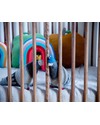 Oeuf Rhea Crib - Birch (converts into Rhea Toddler Bed) Cots and Cotbeds