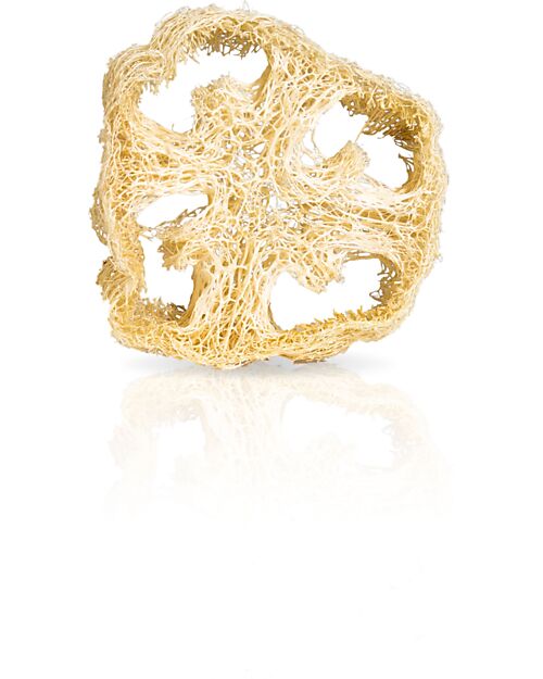 Officina Naturae Gift Box CO.SO Body - Body Wash and Face Cleanser Face Creams