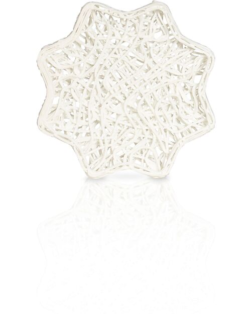 Officina Naturae Kit Face - Cleanser and Solid Holder - Limited Edition Face Creams