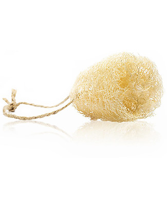 Officina Naturae Loofah Dish Sponge - Seasonal and Natural! Home Cleaning