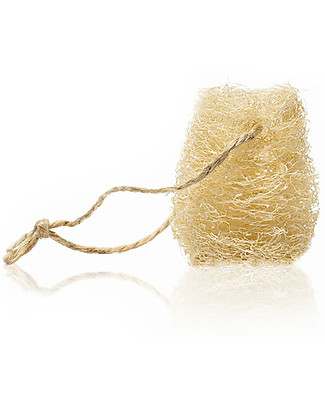 Officina Naturae Loofah Dish Sponge - Seasonal and Natural! Home Cleaning