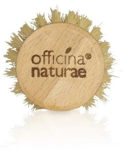 Officina Naturae Zero Waste Mint Dishes Gift Set: Solid Detergent - Dish Brush - Solid Holder Tableware Detergent