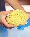 OKbaby Natural Sponge from the Mediterranean Sea, Honeycomb - Soft and Resistant! Baby Bath Wash and shampoo