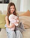 One Love Plush Millie the Poodle Weighted Plush Toy - the Plush that Hugs You - 34 x 15 x 15 cm - 100% Recycled Materials Soft Toys