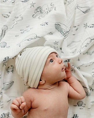Pehr Muslin Swaddle 100% GOTS Organic Cotton - Life Aquatic - 120x120cm Muslin Swaddle