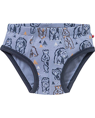 People Wear Organic Boys 2-Pack Briefs - Blue Mix Grizzly - Organic Cotton GOTS Briefs
