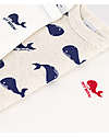 Petit Bateau 3 Pack Short Sleeve Body - White/Cream - Whale - 100% Organic Cotton Short Sleeves Bodies
