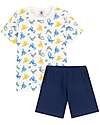 Petit Bateau 4 Pieces Short Sleeved Pajamas - Monkeys - White/Blue - 100% Oeko-Tex Cotton - Glows in the Dark! Pyjamas