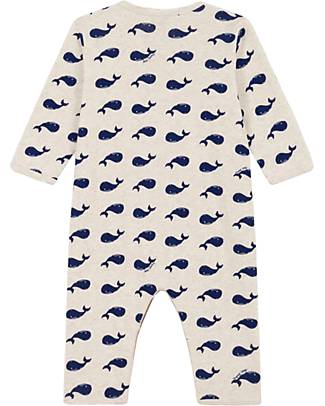 Petit Bateau Jumpsuit - Whales - 100% Organic Cotton Babygrows