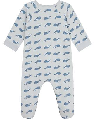 Petit Bateau One-Piece Velvet Sleepsuit with Zip - Whales - 100% Cotton Babygrows
