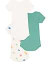 Petit Bateau Set of 3 Short Sleeve Bodysuits - White and Green - Sea - 100% Cotton Short Sleeves Bodies