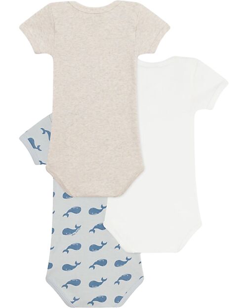 Petit Bateau Set of 3 Short-Sleeved Bodysuits - Beige and White - Whales - 100% Cotton Short Sleeves Bodies