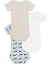 Petit Bateau Set of 3 Short-Sleeved Bodysuits - Beige and White - Whales - 100% Cotton Short Sleeves Bodies