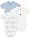 Petit Bateau Set of 3 Short-Sleeved Bodysuits - White and Light Blue - Milleraies/Whales - 100% Cotton Short Sleeves Bodies