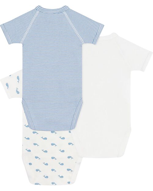 Petit Bateau Set of 3 Short-Sleeved Bodysuits - White and Light Blue - Milleraies/Whales - 100% Cotton Short Sleeves Bodies