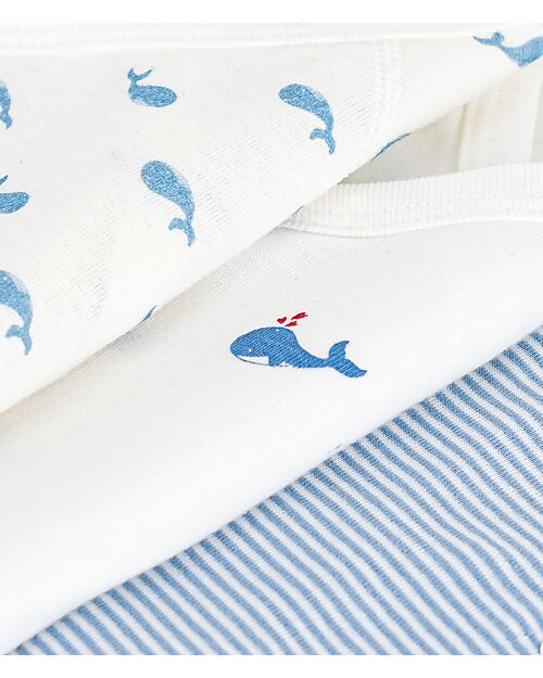 Petit Bateau Set of 3 Short-Sleeved Bodysuits - White and Light Blue - Milleraies/Whales - 100% Cotton Short Sleeves Bodies