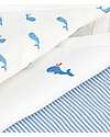 Petit Bateau Set of 3 Short-Sleeved Bodysuits - White and Light Blue - Milleraies/Whales - 100% Cotton Short Sleeves Bodies