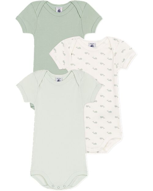 Petit Bateau Short-Sleeve Bodysuit - Pack of 3 - Sage Green - Whales - 100% Cotton Short Sleeves Bodies