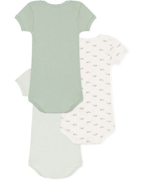 Petit Bateau Short-Sleeve Bodysuit - Pack of 3 - Sage Green - Whales - 100% Cotton Short Sleeves Bodies