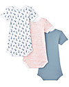 Petit Bateau Short Sleeved Bodysuit, 3-pack - Leopards - 100% Cotton Short Sleeves Bodies