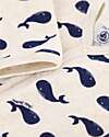 Petit Bateau Velvet Romper - Whales - Extreme Softness Babygrows