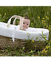 Picci Palm Baby Basket - Includes Pillow, Mattress, and Quilt - 86x56 cm Cribs & Moses Baskets