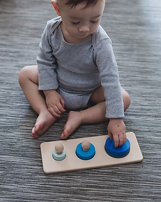 PlanToys Circle Matching Puzzle, 3 pieces - Learn about Shapes! Puzzles