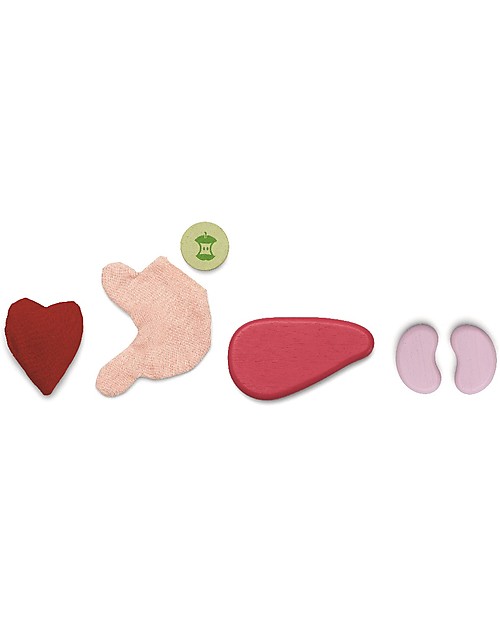 PlanToys Educational Toy Surgeon Set - Learn how the human body works in a fun way! STEM toys