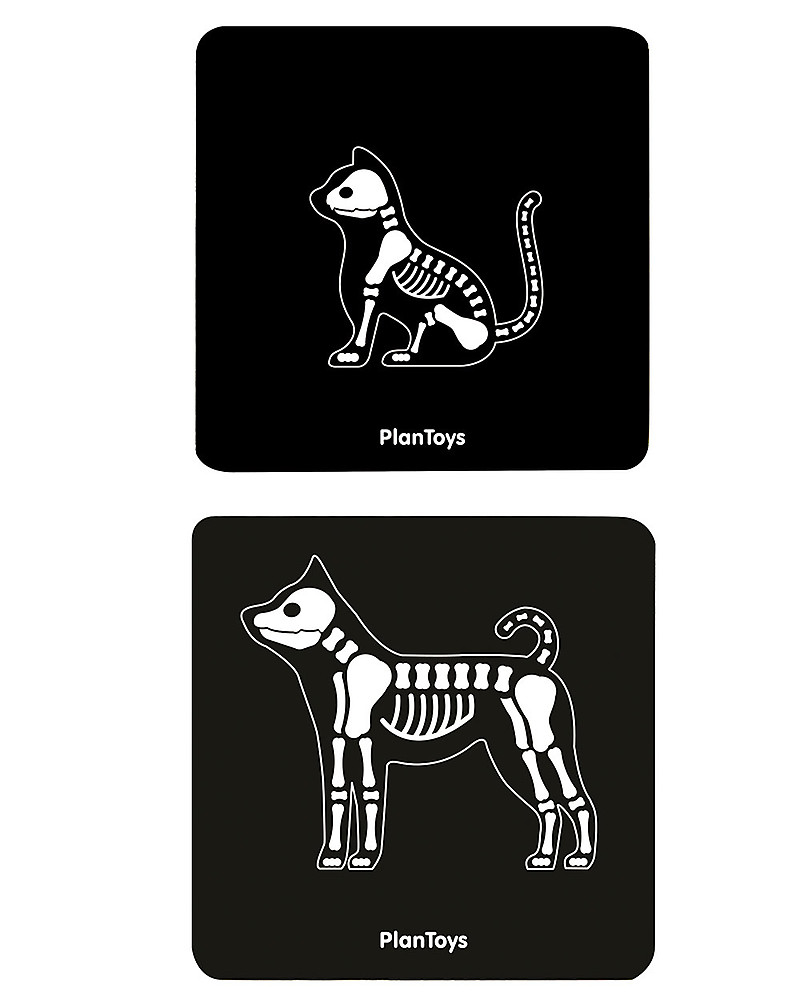wooden vet set