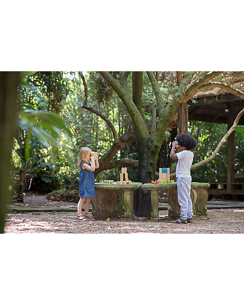 PlanToys Water Blocks - Discover the Colors - 100% Sustainable Wooden Game Wooden Blocks and Construction Sets