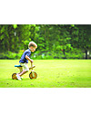 PlanToys Wooden Balance Tricycle - Improve body balance before riding a bike Balance Bikes