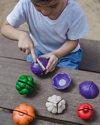 PlanToys Wooden Colorful Veggie Set - Eco-friendly and funny! Wooden Food