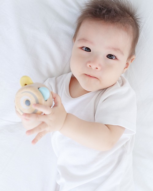 PlanToys Wooden Pastel Peek-a-boo Roller- Eco-friendly and fun! Outdoor Games and Toys_