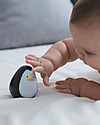 PlanToys Wooden Penguin - Watch it Tumble! Outdoor Games and Toys_