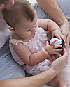 PlanToys Wooden Penguin - Watch it Tumble! Outdoor Games and Toys_